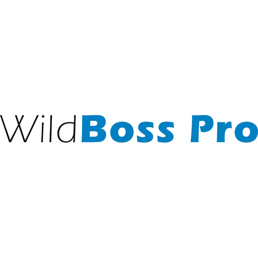 WildBoss Pro – отечественный сервер приложений