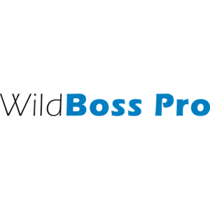 WildBoss Pro — российский сервер для корпоративных приложений