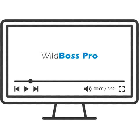 WildBoss Pro: наглядная демонстрация бесшовной миграции с WildFly