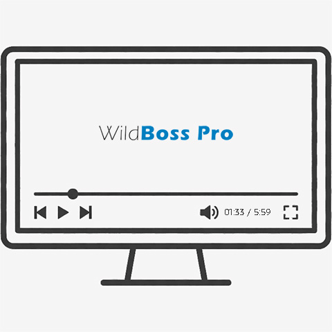 WildBoss Pro: наглядная демонстрация бесшовной миграции с WildFly