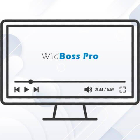 WildBoss Pro: наглядная демонстрация бесшовной миграции с WildFly