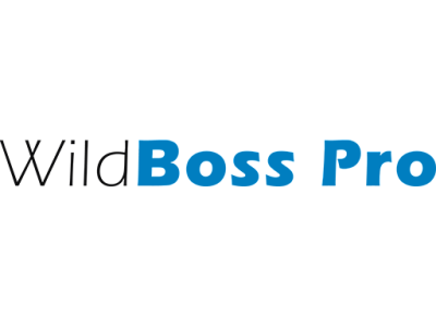 WildBoss Pro — российский сервер для корпоративных приложений